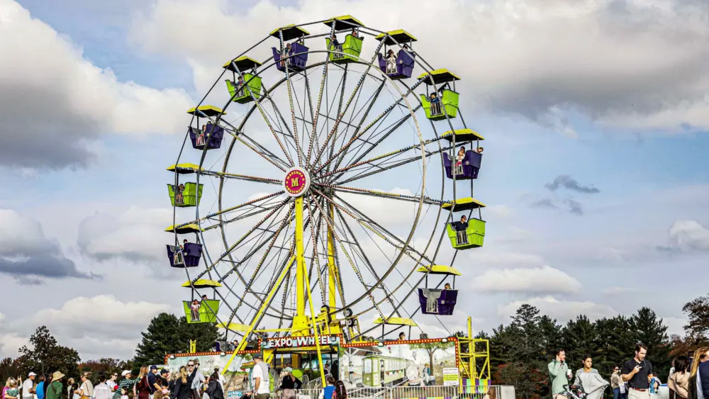 go-wild-press-release-photo-2