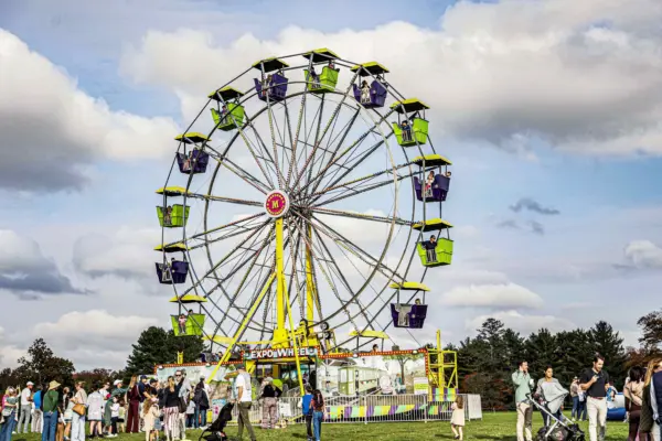 go-wild-press-release-photo-2