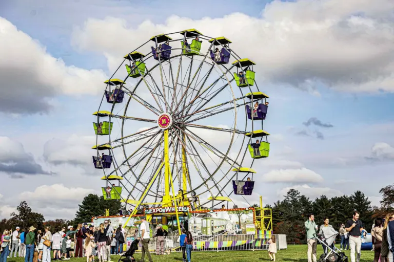 go-wild-press-release-photo-2