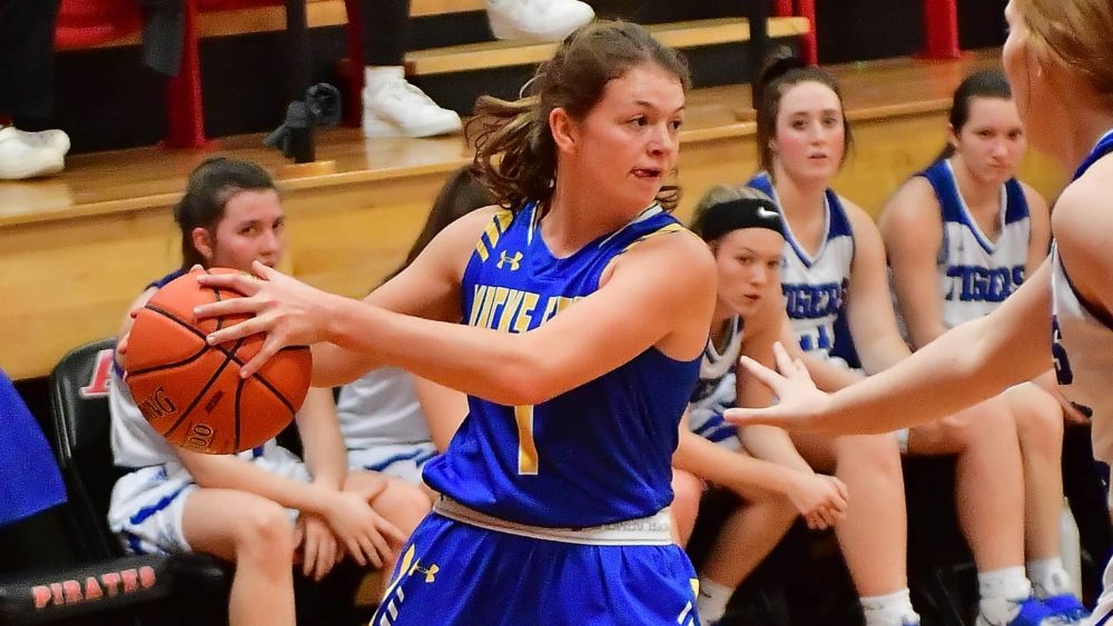 macscreek-vs-hollister_12-2