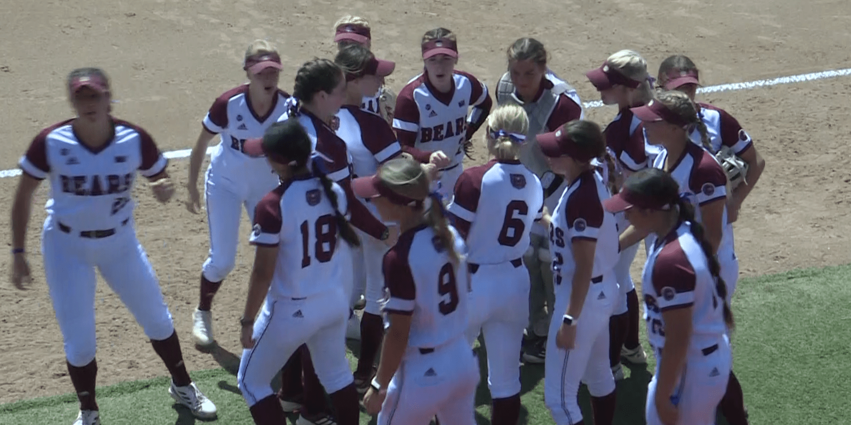 softball-bears-2