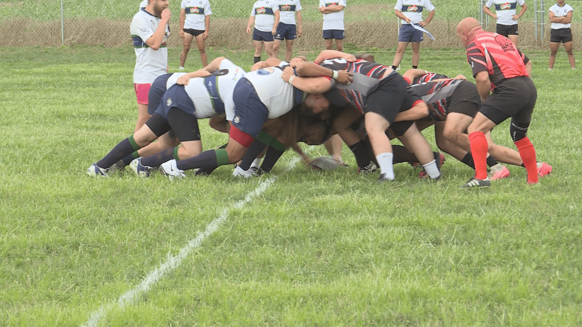 rugby