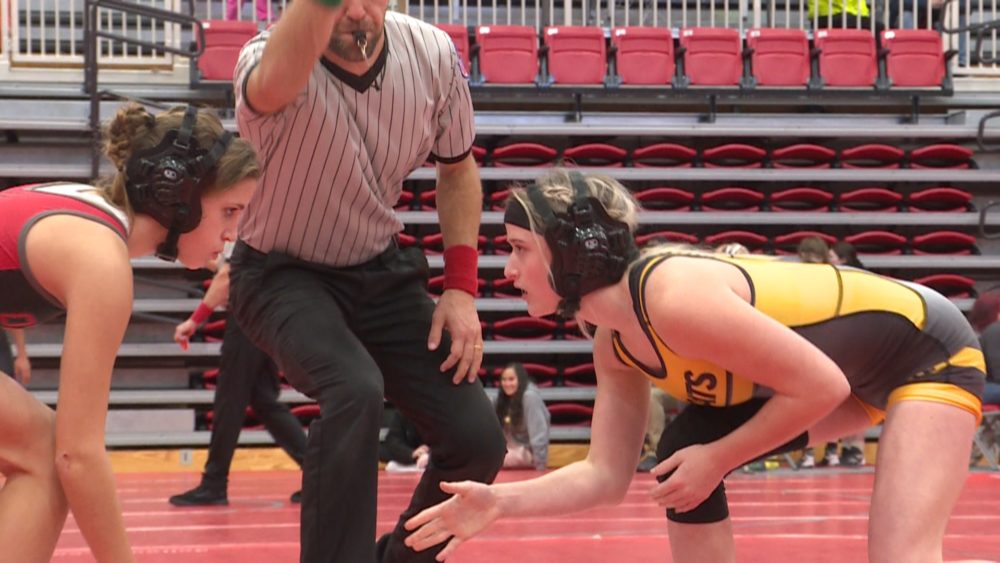 nixa-wrestling-invit