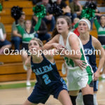 KellySteed-59: The Lady Bobcats battled the Salem Lady Tigers Tuesday night, February 7, 2023 at Thayer High School. The Lady Tigers edge the Lady Bobcats 68-61