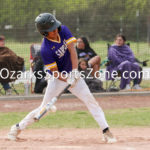 RachelDobbs_Sarcoxiebaseball48.JPG