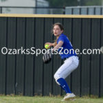 RachelDobbs_Sarcoxiebaseball57.JPG