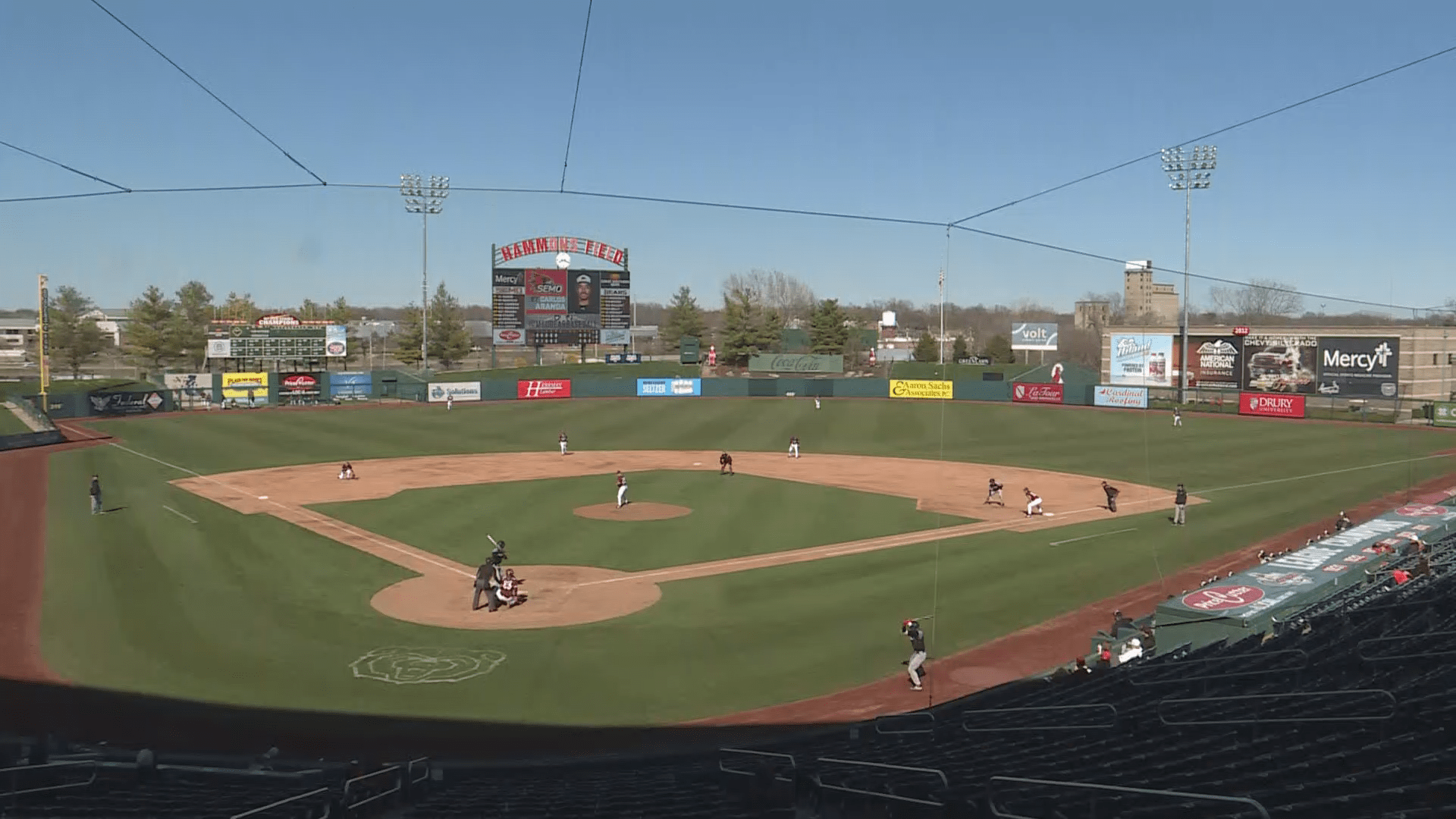 hammons-field-pic