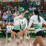 KellySteed_HSVBThayerDora-97: The Thayer Volleyball Bobcats took on the Dora Lady Falcons at Thayer High School Gymnasium on Monday, September 18, 2023The VolleyCATS win in three straight sets