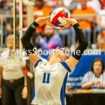 231103-C1-SEIMI-FINAL-VOLLEYBALL-GR-815: Galena's Averi Foster competes during a class 1 semifinal girls volleyball match on Friday, Nov. 3, 2023, at Show Me Center in Cape Girardeau, Mo.  Gordon Radford | Special to the O-Zone