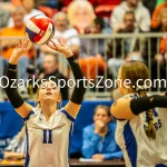 231103-C1-SEIMI-FINAL-VOLLEYBALL-GR-819: Galena's Averi Foster competes during a class 1 semifinal girls volleyball match on Friday, Nov. 3, 2023, at Show Me Center in Cape Girardeau, Mo.  Gordon Radford | Special to the O-Zone