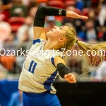 231103-C1-SEIMI-FINAL-VOLLEYBALL-GR-830: Galena's Averi Foster competes during a class 1 semifinal girls volleyball match on Friday, Nov. 3, 2023, at Show Me Center in Cape Girardeau, Mo.  Gordon Radford | Special to the O-Zone