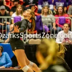 231103-C2-SEIMI-FINAL-VOLLEYBALL-GR-101-2: Fair Grove's Hannah Maxwell goes up for a hit during a class 2 semifinal girls volleyball match on Friday, Nov. 3, 2023, at Show Me Center in Cape Girardeau, Mo.  Gordon Radford | Special to the Ozone