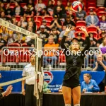 231103-C2-SEIMI-FINAL-VOLLEYBALL-GR-102-2: Fair Grove's Brooke Daniels sets the ball during a class 2 semifinal girls volleyball match on Friday, Nov. 3, 2023, at Show Me Center in Cape Girardeau, Mo.  Gordon Radford | Special to the Ozone