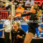 231103-C2-SEIMI-FINAL-VOLLEYBALL-GR-103-2: Fair Grove's Abbey Green follows through on a hit during a class 2 semifinal girls volleyball match on Friday, Nov. 3, 2023, at Show Me Center in Cape Girardeau, Mo.  Gordon Radford | Special to the Ozone