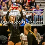 231103-C2-SEIMI-FINAL-VOLLEYBALL-GR-105-2: Fair Grove's Hannah Maxwell sets the ball during a class 2 semifinal girls volleyball match on Friday, Nov. 3, 2023, at Show Me Center in Cape Girardeau, Mo.  Gordon Radford | Special to the Ozone