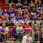 231103-C2-SEIMI-FINAL-VOLLEYBALL-GR-113-2: Fair Grove fans cheer during a class 2 semifinal girls volleyball match on Friday, Nov. 3, 2023, at Show Me Center in Cape Girardeau, Mo.  Gordon Radford | Special to the Ozone