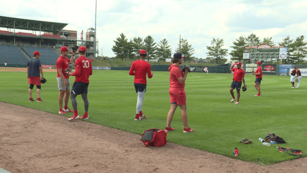 springfield-cardinals