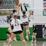 kellysteed_thayervswillow-146: The Willow Springs Lady Bears traveled to Thayer to battle the Lady Bobcats in SCA Volleyball action on Thursday, September 26, 2024. The Lady Bears would would sweep the Lady Bobcats in three straight sets