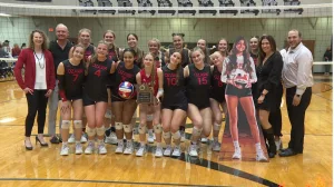 ozark-vb-district-title