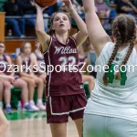 kellysteed_hsgbthayerwillow-103: The Lady Thayer Bobcats battle the Willow Springs Lady Bears in SCA Conference play on Thursday, Jan 16, 2025, at Thayer High School