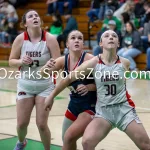 kellysteed_hsgblibertyvshouston-65: The Liberty Lady Eagles battle the Houston Lady Tigers in the 3rd place contest of the 51st Thayer Winter Classic, held on Saturday, January 25, 2025, at Thayer High School in Thayer, MO.