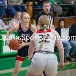 kellysteed_hsgblibertyvshouston-66: The Liberty Lady Eagles battle the Houston Lady Tigers in the 3rd place contest of the 51st Thayer Winter Classic, held on Saturday, January 25, 2025, at Thayer High School in Thayer, MO.