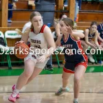 kellysteed_hsgblibertyvshouston-68: The Liberty Lady Eagles battle the Houston Lady Tigers in the 3rd place contest of the 51st Thayer Winter Classic, held on Saturday, January 25, 2025, at Thayer High School in Thayer, MO.