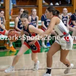 kellysteed_hsgblibertyvshouston-71: The Liberty Lady Eagles battle the Houston Lady Tigers in the 3rd place contest of the 51st Thayer Winter Classic, held on Saturday, January 25, 2025, at Thayer High School in Thayer, MO.