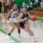 kellysteed_hsgblibertyvshouston-73: The Liberty Lady Eagles battle the Houston Lady Tigers in the 3rd place contest of the 51st Thayer Winter Classic, held on Saturday, January 25, 2025, at Thayer High School in Thayer, MO.