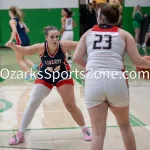 kellysteed_hsgblibertyvshouston-74: The Liberty Lady Eagles battle the Houston Lady Tigers in the 3rd place contest of the 51st Thayer Winter Classic, held on Saturday, January 25, 2025, at Thayer High School in Thayer, MO.