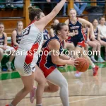 kellysteed_hsgblibertyvshouston-75: The Liberty Lady Eagles battle the Houston Lady Tigers in the 3rd place contest of the 51st Thayer Winter Classic, held on Saturday, January 25, 2025, at Thayer High School in Thayer, MO.