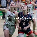 kellysteed_hsgblibertyvshouston-76: The Liberty Lady Eagles battle the Houston Lady Tigers in the 3rd place contest of the 51st Thayer Winter Classic, held on Saturday, January 25, 2025, at Thayer High School in Thayer, MO.