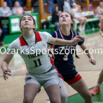 kellysteed_hsgblibertyvshouston-78: The Liberty Lady Eagles battle the Houston Lady Tigers in the 3rd place contest of the 51st Thayer Winter Classic, held on Saturday, January 25, 2025, at Thayer High School in Thayer, MO.