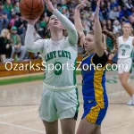 kellysteed_hsgbthayervsalton-72: The Thayer Lady Bobcats battle the Alton Lady Comets in the Championship game of the 51st Thayer Winter Classic, held on Saturday, January 25, 2025, at Thayer High School in Thayer, MO.