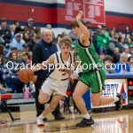 kellysteed_hsbbthayervsliberty-83: The Thayer Bobcats battle the Liberty Eagles on Saturday, Feb 22, 2025, at Liberty High School.