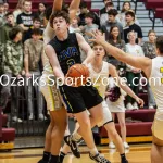 dana_harding_7l5a4671
