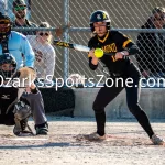 dianalesh_dsc6751
