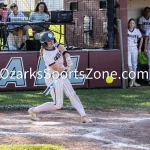 harding_7l5a5388