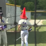 fair-grove-cone