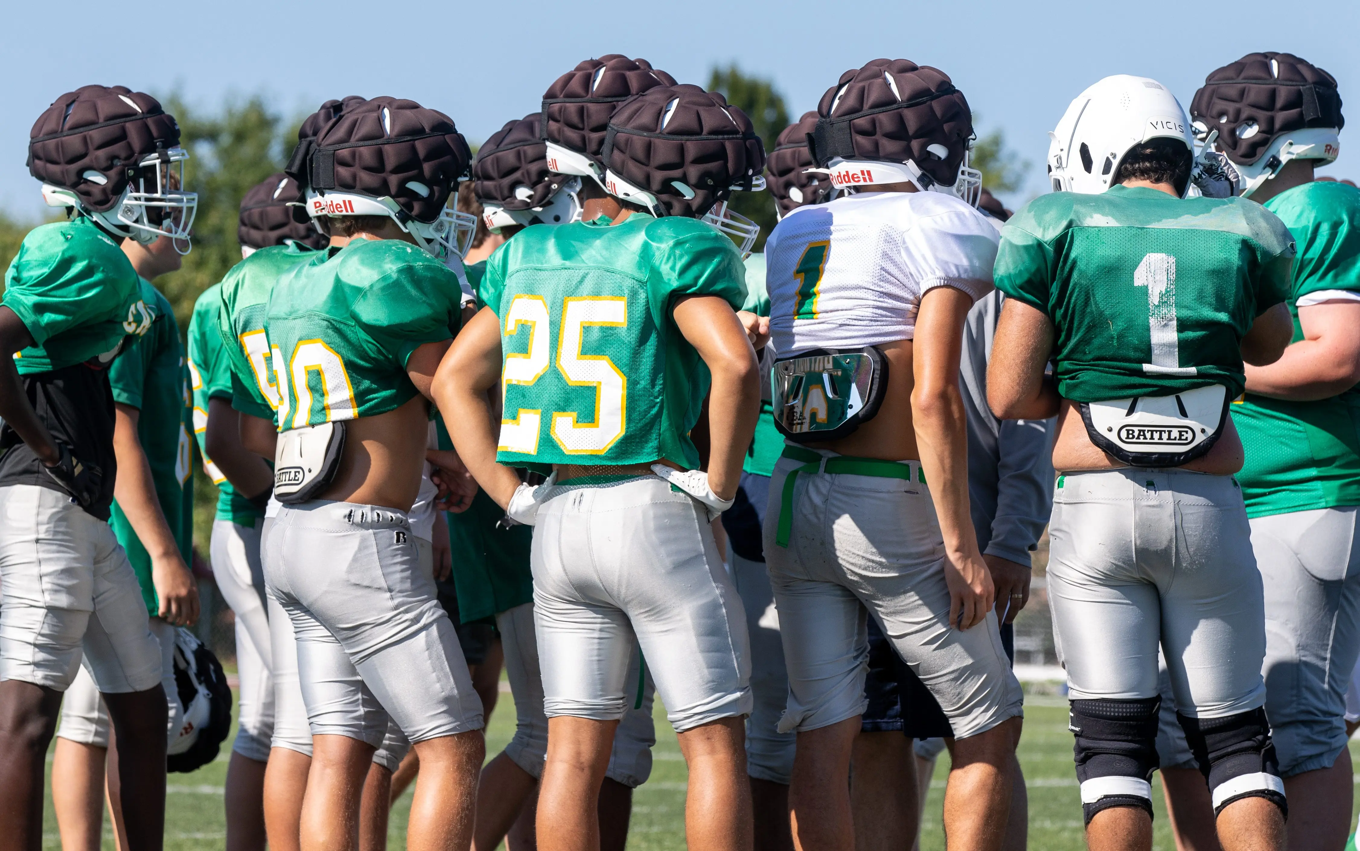 springfield-catholic