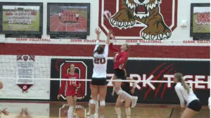ozark-vb-vs-logan-rogersville