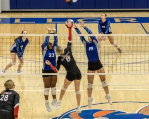 harding_7l5a0315-2