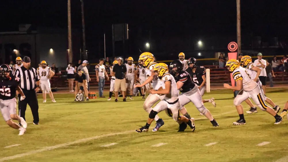chapman-dsc_0412