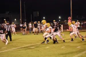 chapman-dsc_0412