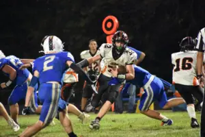 chapman-dsc_0388