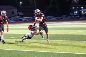 raynastillings-86-19