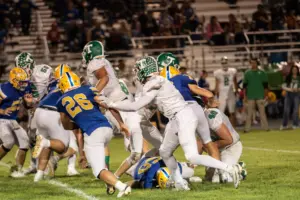 raynastillings-80-21