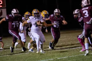 raynastillings-87-26