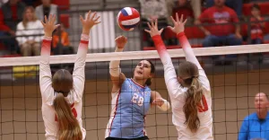 brennanstebbins0c8a0329-2