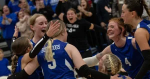 raynastillings-229-2